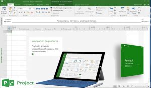 Microsoft Project Professional